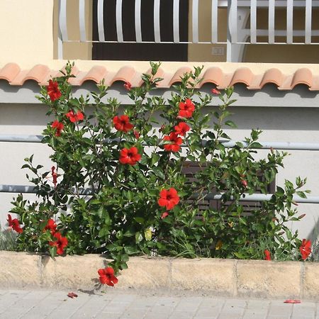 Aparthotel Baia Dei Canonici Villaggio Le Rocelle Exteriér fotografie