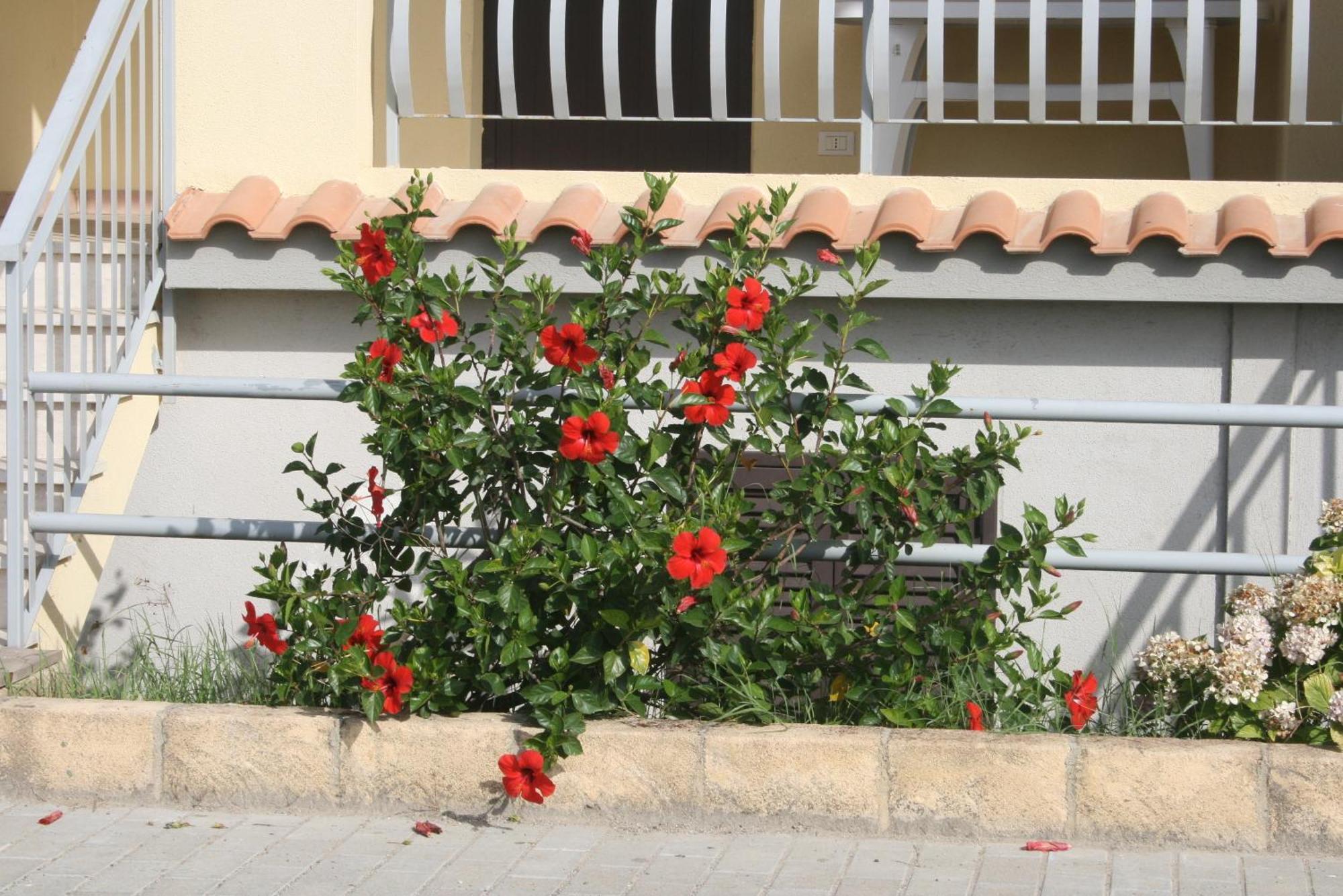 Aparthotel Baia Dei Canonici Villaggio Le Rocelle Exteriér fotografie